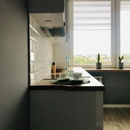 Panorama Miasta * 奥尔什丁