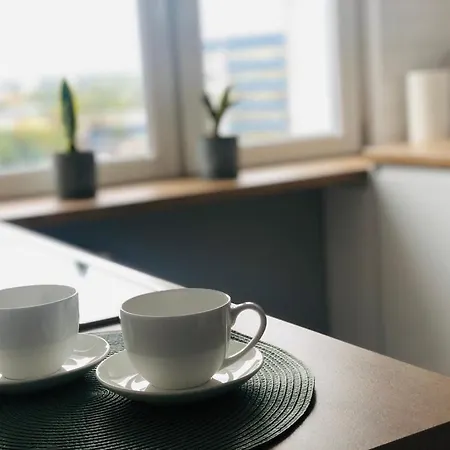 Panorama Miasta 公寓 奥尔什丁